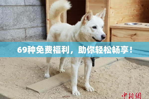 69种免费福利，助你轻松畅享！
