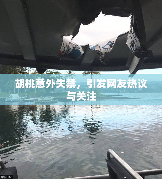 胡桃意外失禁，引发网友热议与关注
