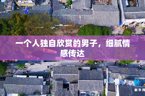 一个人独自欣赏的男子，细腻情感传达