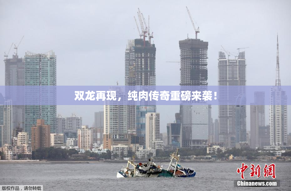 双龙再现，纯肉传奇重磅来袭！