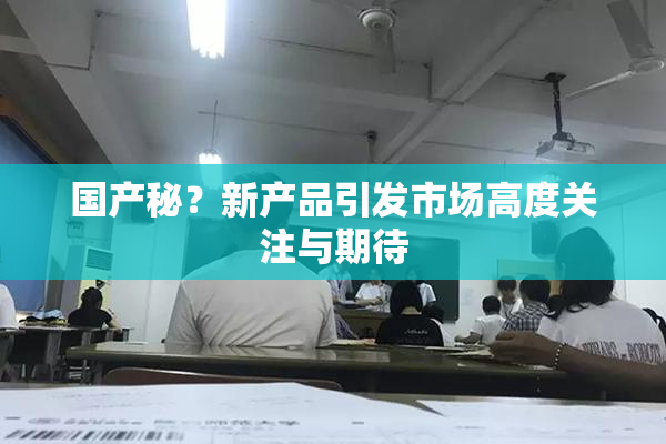 国产秘？新产品引发市场高度关注与期待