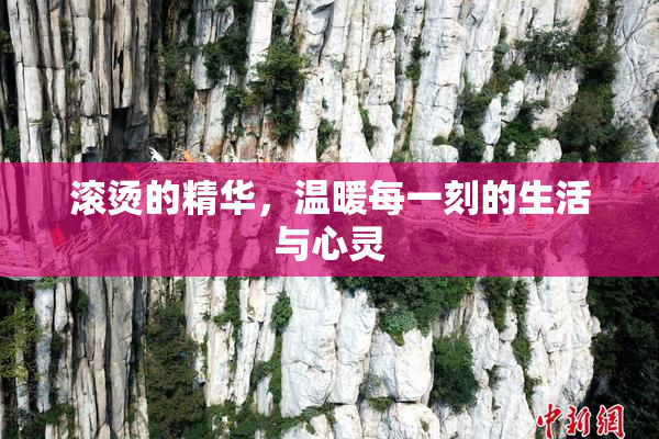 滚烫的精华，温暖每一刻的生活与心灵