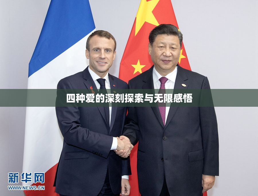 四种爱的深刻探索与无限感悟
