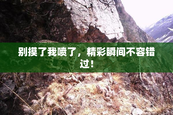 别摸了我喷了，精彩瞬间不容错过！