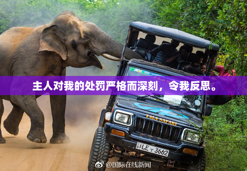 主人对我的处罚严格而深刻，令我反思。