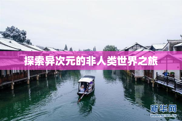 探索异次元的非人类世界之旅