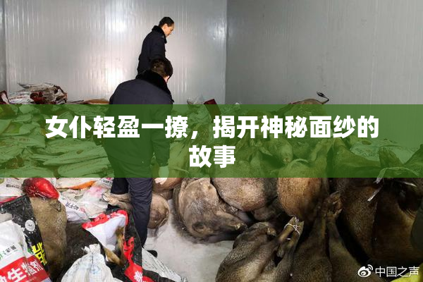 女仆轻盈一撩，揭开神秘面纱的故事