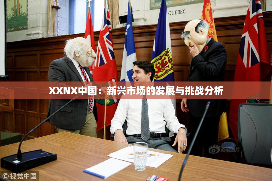 XXNX中国：新兴市场的发展与挑战分析