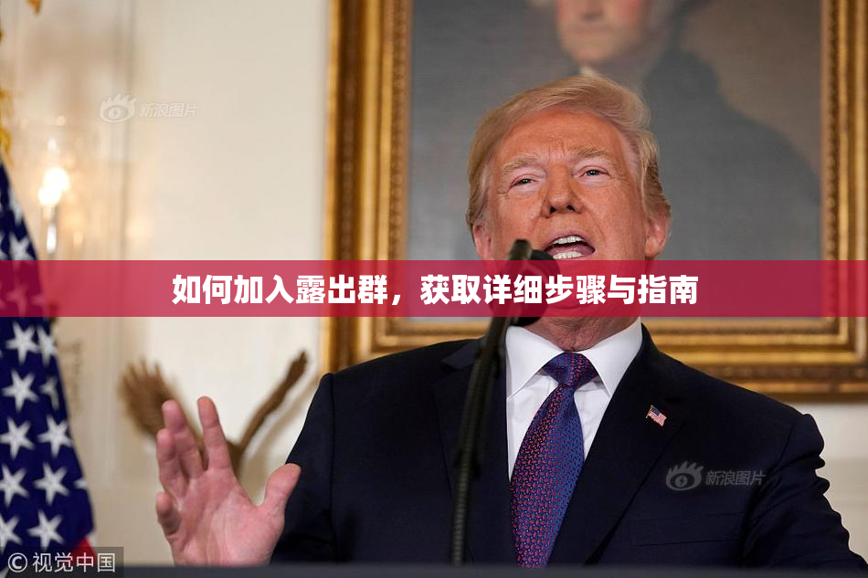 如何加入露出群，获取详细步骤与指南