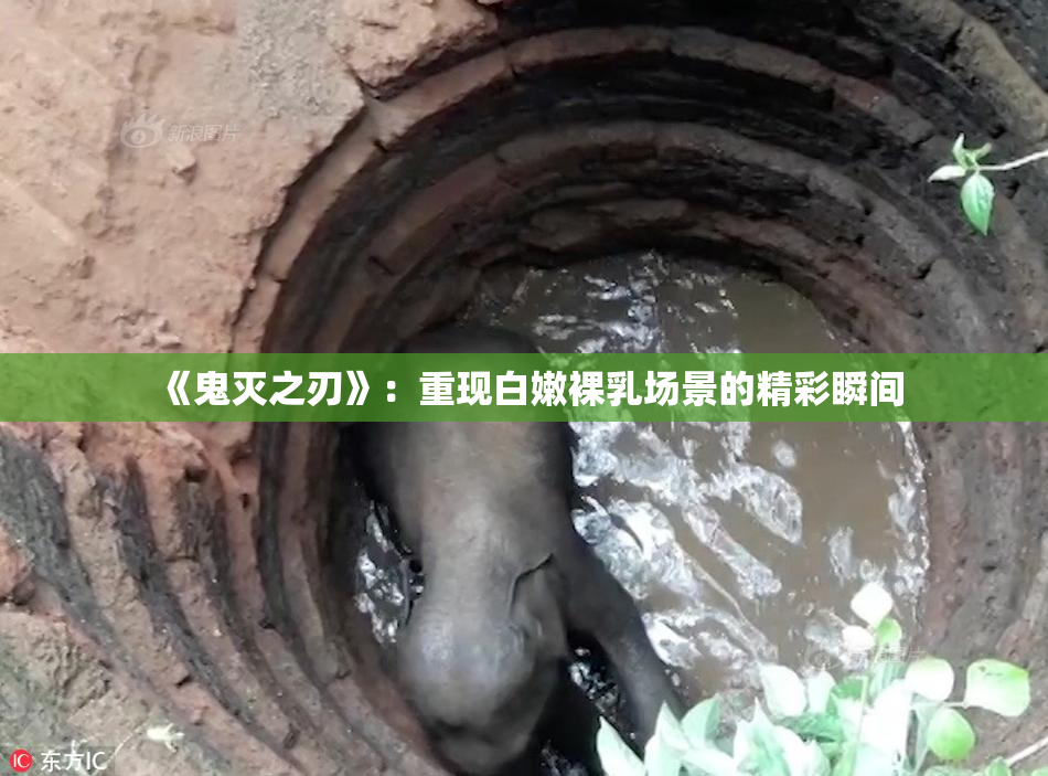 《鬼灭之刃》：重现白嫩裸乳场景的精彩瞬间