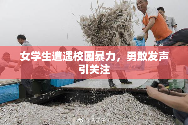 女学生遭遇校园暴力，勇敢发声引关注
