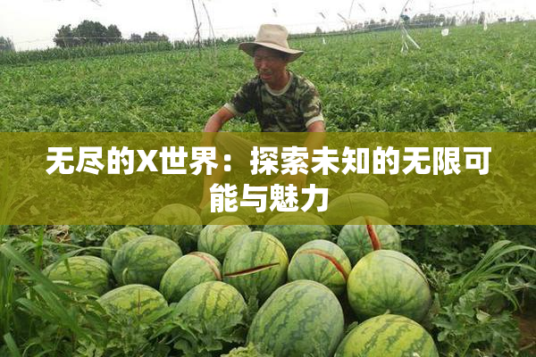 无尽的X世界：探索未知的无限可能与魅力