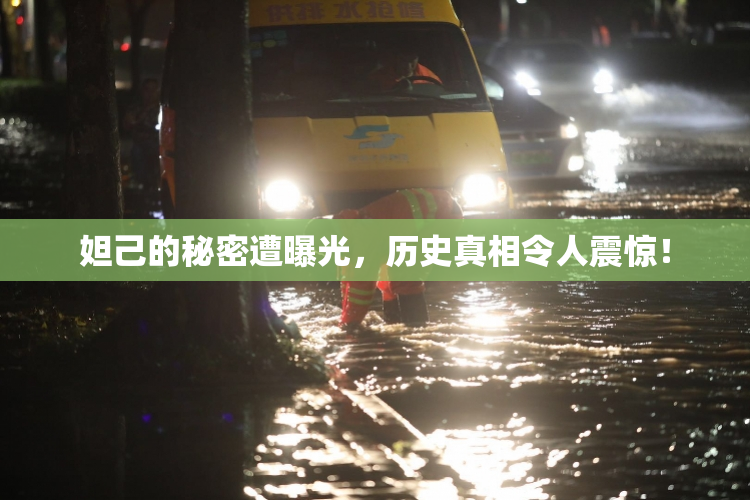 妲己的秘密遭曝光，历史真相令人震惊！