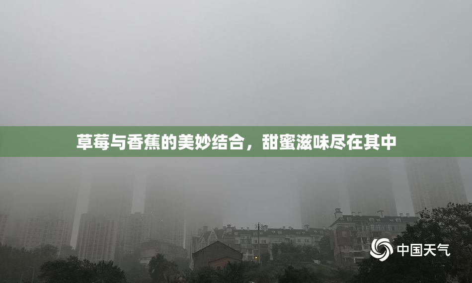 草莓与香蕉的美妙结合，甜蜜滋味尽在其中