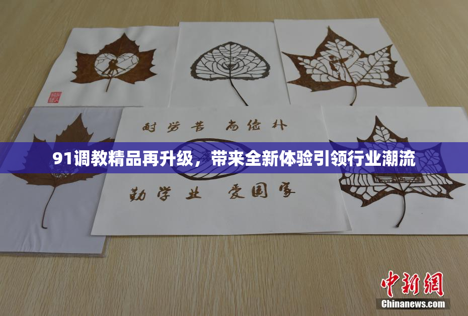 91调教精品再升级，带来全新体验引领行业潮流
