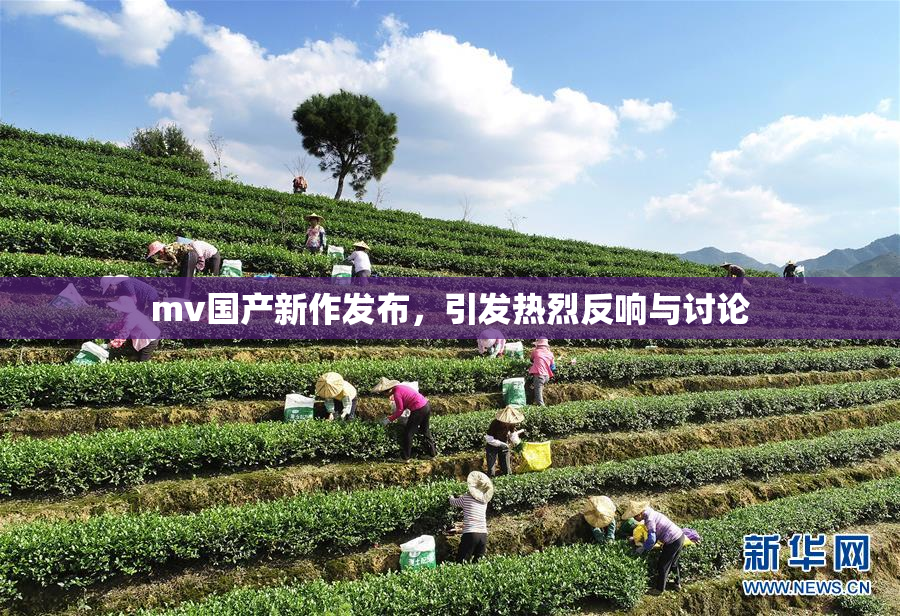 mv国产新作发布，引发热烈反响与讨论