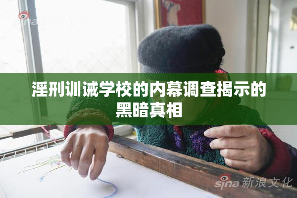 淫刑训诫学校的内幕调查揭示的黑暗真相