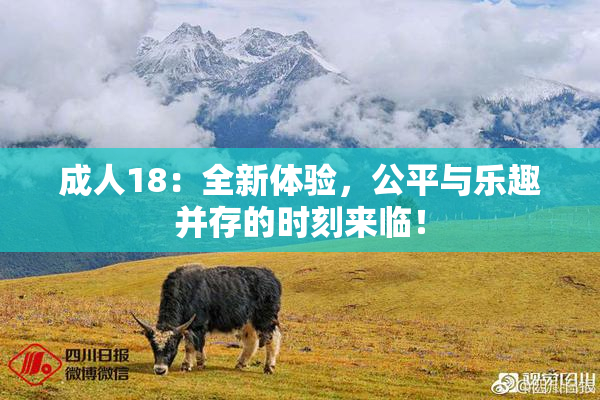 成人18：全新体验，公平与乐趣并存的时刻来临！