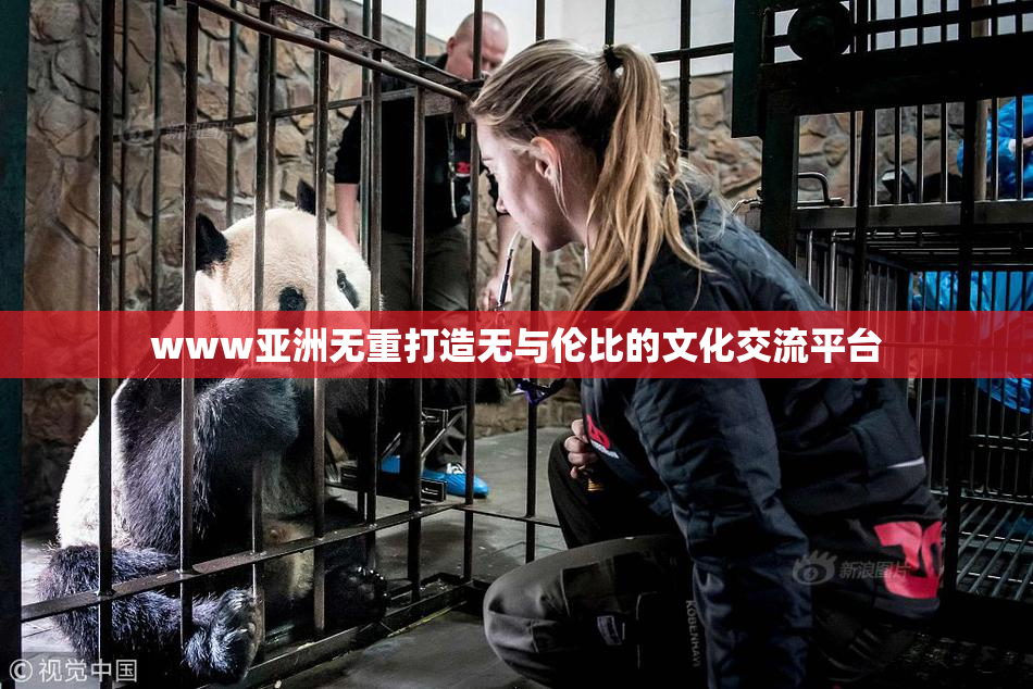 www亚洲无重打造无与伦比的文化交流平台