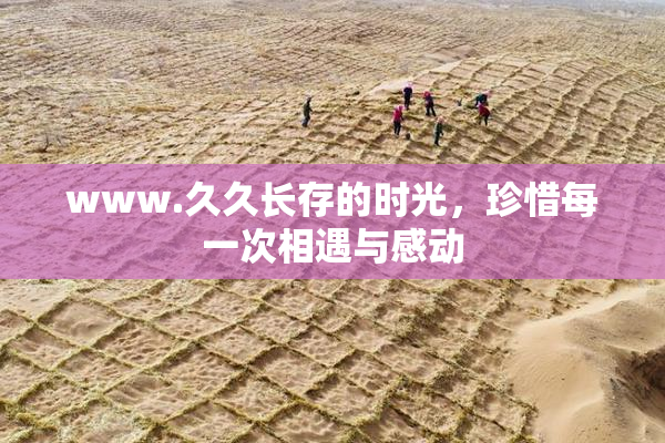www.久久长存的时光，珍惜每一次相遇与感动