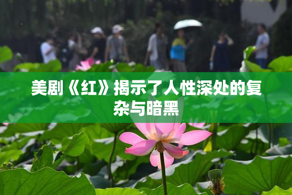 美剧《红》揭示了人性深处的复杂与暗黑