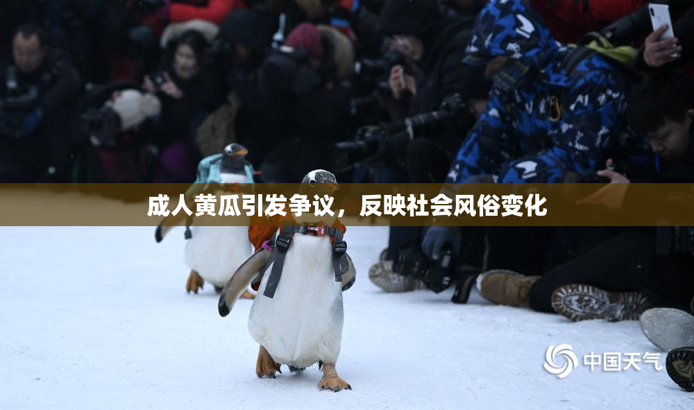 成人黄瓜引发争议，反映社会风俗变化