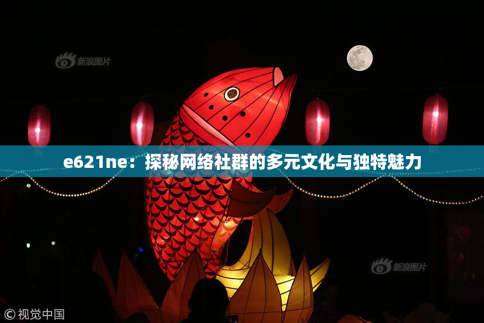 e621ne：探秘网络社群的多元文化与独特魅力