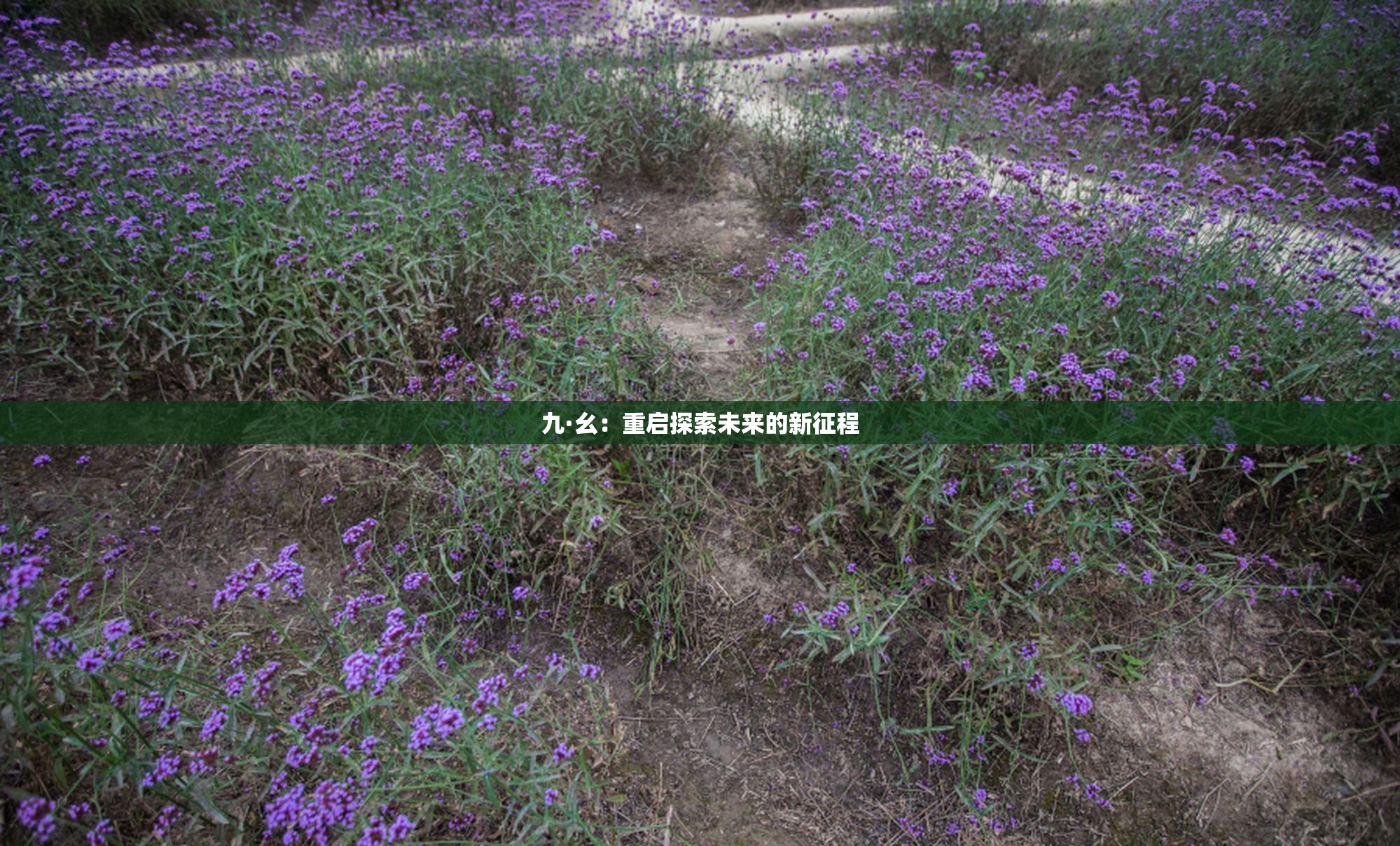 九·幺：重启探索未来的新征程