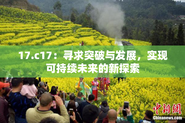 17.c17：寻求突破与发展，实现可持续未来的新探索