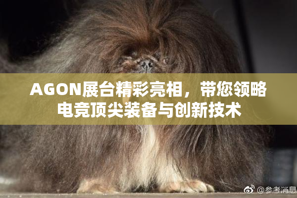 AGON展台精彩亮相，带您领略电竞顶尖装备与创新技术