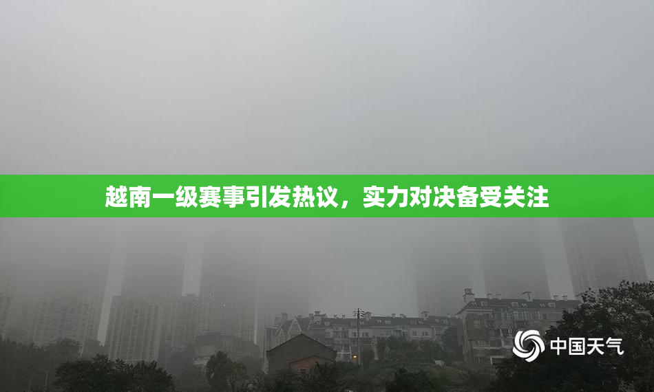 越南一级赛事引发热议，实力对决备受关注