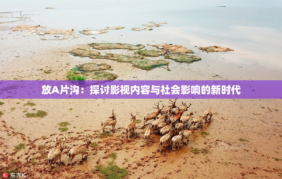 放A片沟：探讨影视内容与社会影响的新时代
