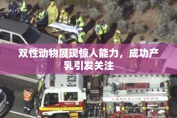 双性动物展现惊人能力，成功产乳引发关注