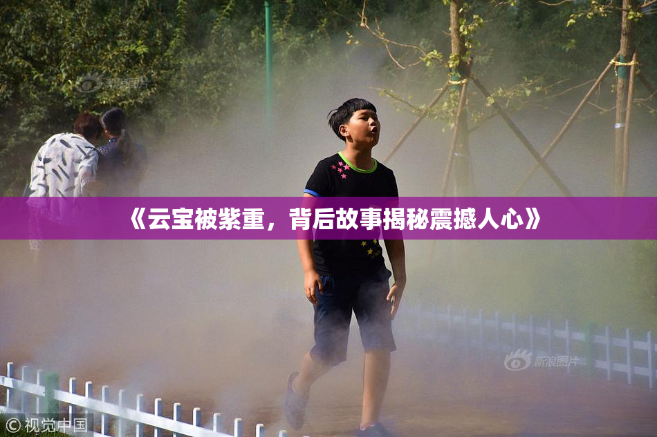 《云宝被紫重，背后故事揭秘震撼人心》