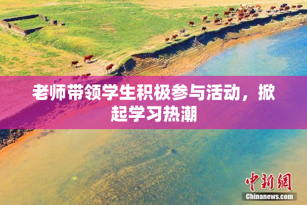 老师带领学生积极参与活动，掀起学习热潮