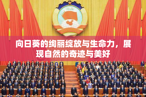 向日葵的绚丽绽放与生命力，展现自然的奇迹与美好