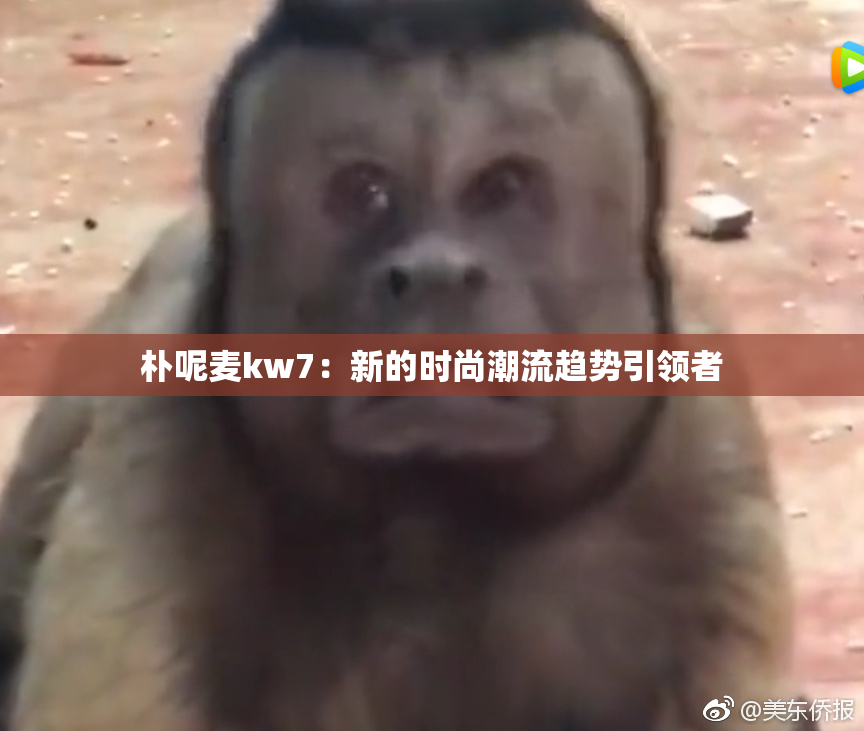 朴呢麦kw7：新的时尚潮流趋势引领者