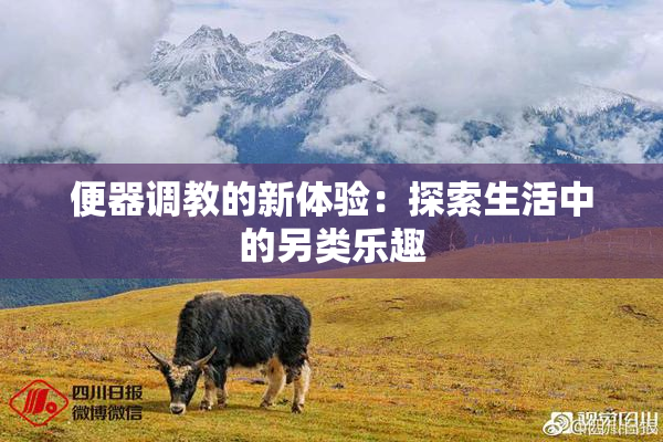 便器调教的新体验：探索生活中的另类乐趣