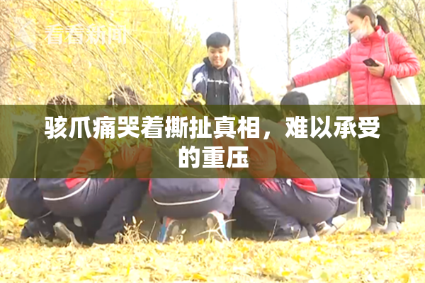 骇爪痛哭着撕扯真相，难以承受的重压