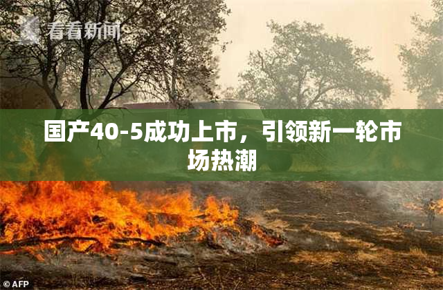 国产40-5成功上市，引领新一轮市场热潮