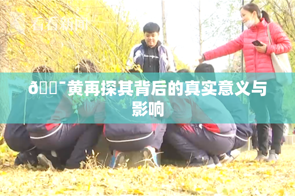 🔯黄再探其背后的真实意义与影响