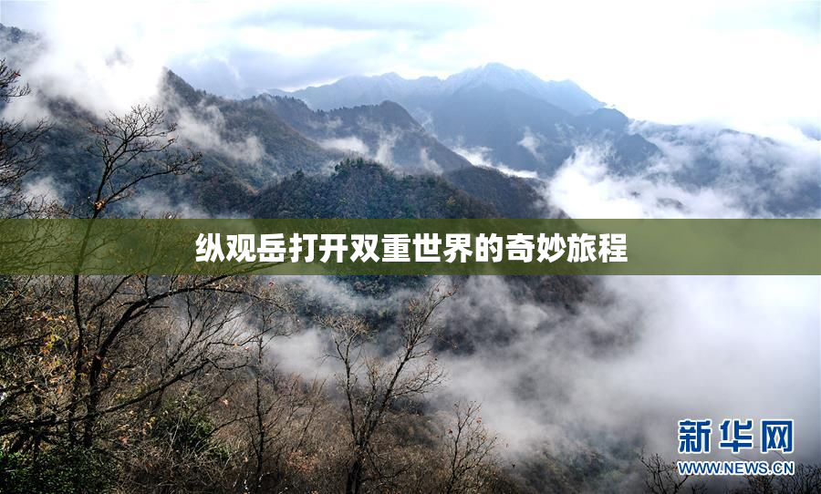 纵观岳打开双重世界的奇妙旅程