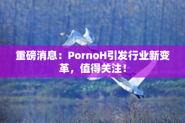重磅消息：PornoH引发行业新变革，值得关注！