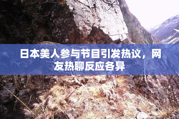 日本美人参与节目引发热议，网友热聊反应各异