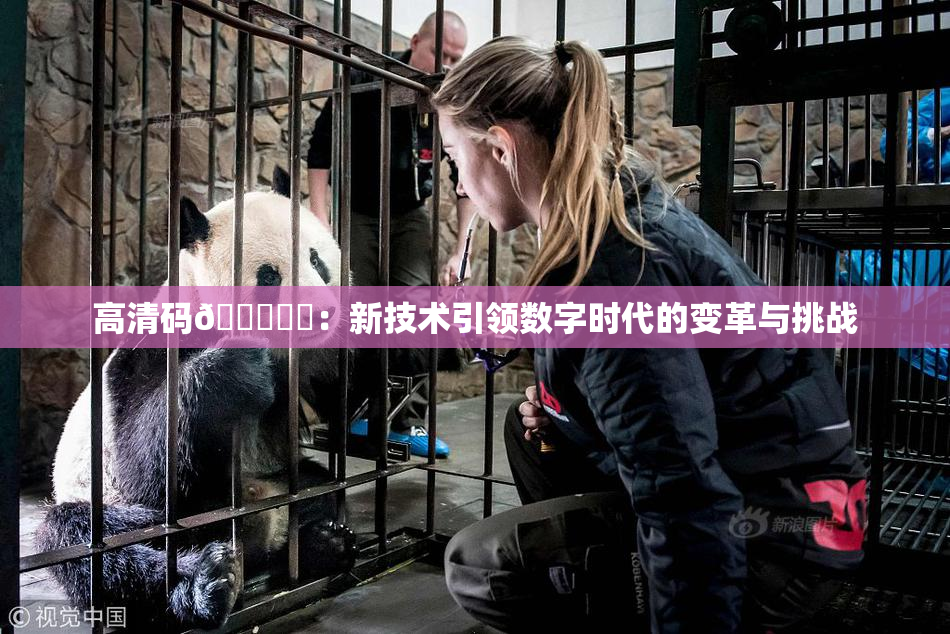 高清码🔞❌‌：新技术引领数字时代的变革与挑战