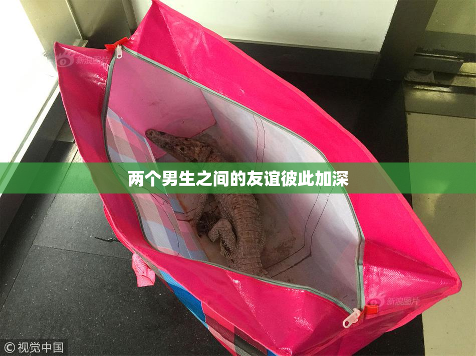 两个男生之间的友谊彼此加深