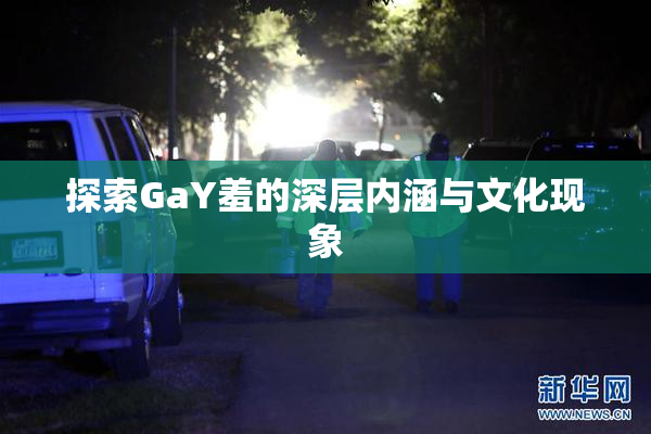 探索GaY羞的深层内涵与文化现象