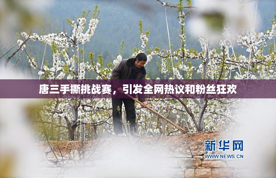 唐三手撕挑战赛，引发全网热议和粉丝狂欢