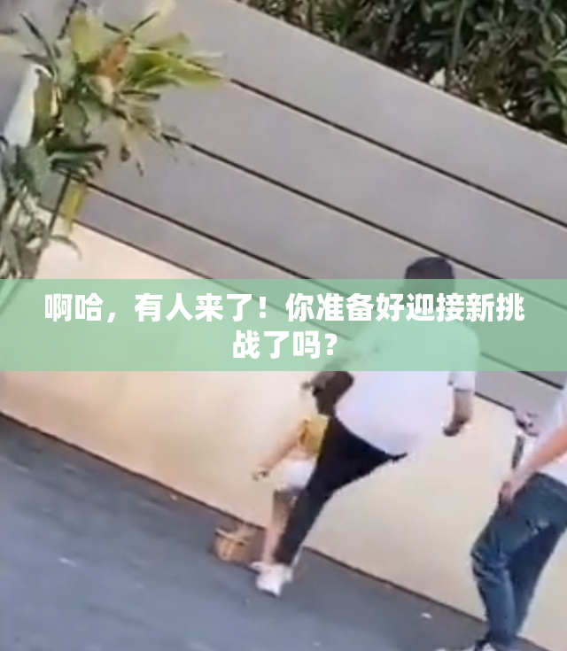 啊哈，有人来了！你准备好迎接新挑战了吗？