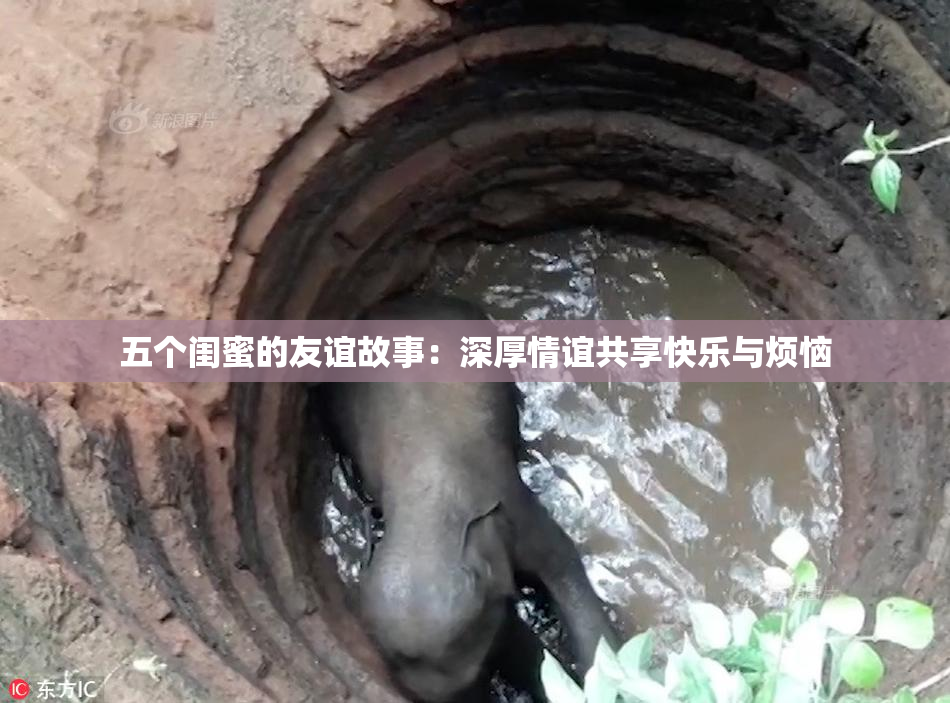 五个闺蜜的友谊故事：深厚情谊共享快乐与烦恼